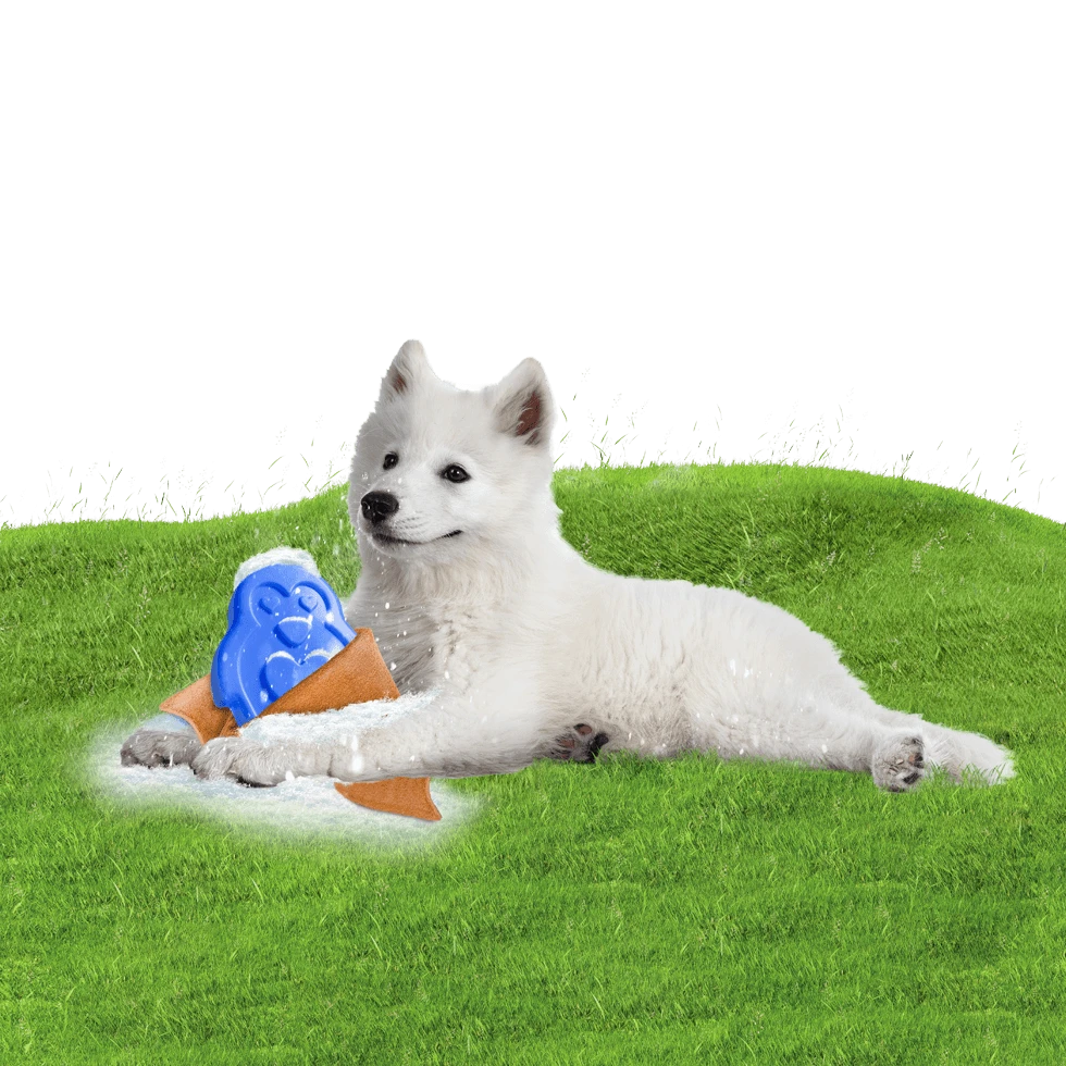 CoolPets Ice PINGWIN Pour Chiens 4 CoolPets Ice PINGWIN Pour Chiens – Image 4