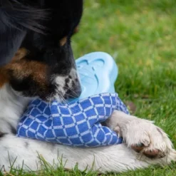 CoolPets Ice PINGWIN Pour Chiens 9 CoolPets Ice PINGWIN Pour Chiens -Promos Paw Mignon Boutique fre pl CoolPets Ice PINGWIN pour chiens 30501 5