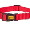 Dingo Collier Pour Chien Avec Fermoir En Plastique Rouge 65cm
