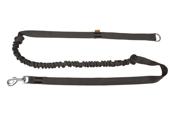 Dingo Laisse Avec Amortisseur Et Poignée Noir 170cm 1 Dingo Laisse Avec Amortisseur Et Poignée Noir 170cm