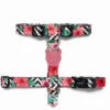 Harnais Pour Chien ZEE DOG Mahalo M