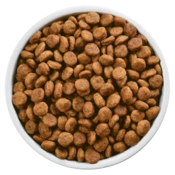 Hills Hill's Prescription Diet I/d Sensitive Canine Avec Oeuf Et Riz 1,5kg -Promos Paw Mignon Boutique fre pl Hills Prescription Diet i d Sensitive Canine Avec Oeuf et Riz 1 5kg 8592 5