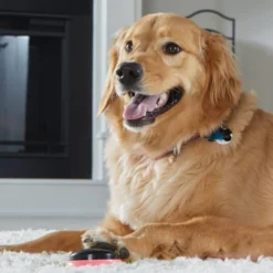 Hunger For Words TALKING PET NEXT WORDS LOCATIONS Localisation -Promos Paw Mignon Boutique fre pl Hunger for Words TALKING PET NEXT WORDS LOCATIONS Localisation 29731 4