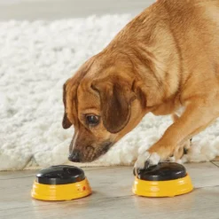 Hunger For Words TALKING PET NEXT WORDS NAMES 9 Hunger For Words TALKING PET NEXT WORDS NAMES -Promos Paw Mignon Boutique fre pl Hunger for Words TALKING PET NEXT WORDS NAMES 29733 4