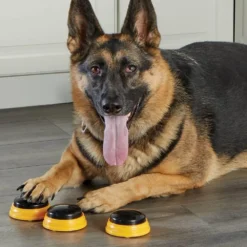 Hunger For Words TALKING PET NEXT WORDS NAMES 10 Hunger For Words TALKING PET NEXT WORDS NAMES -Promos Paw Mignon Boutique fre pl Hunger for Words TALKING PET NEXT WORDS NAMES 29733 5