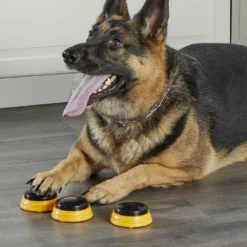 Hunger For Words TALKING PET NEXT WORDS NAMES 11 Hunger For Words TALKING PET NEXT WORDS NAMES -Promos Paw Mignon Boutique fre pl Hunger for Words TALKING PET NEXT WORDS NAMES 29733 6