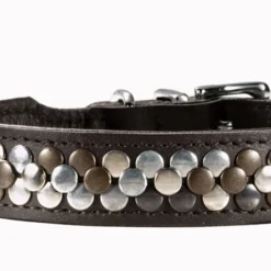 Hunter Arizona Collier Pour Chien En Cuir De Vachette Brun Foncé 32 Cm