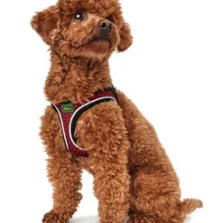 Hunter Hilo Comfort Harnais Pour Chien Rouge Taille M/L 5 Hunter Hilo Comfort Harnais Pour Chien Rouge Taille M/L -Promos Paw Mignon Boutique fre pl Hunter Hilo Comfort Harnais pour chien rouge Taille M L 12621 3