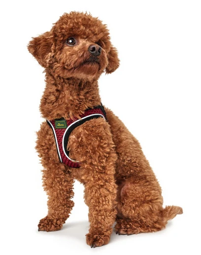 Hunter Hilo Comfort Harnais Pour Chien Rouge Taille XXS 3 Hunter Hilo Comfort Harnais Pour Chien Rouge Taille XXS – Image 3