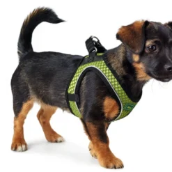 Hunter Hilo Comfort Harnais Pour Chien Vert Citron Taille M 5 Hunter Hilo Comfort Harnais Pour Chien Vert Citron Taille M -Promos Paw Mignon Boutique fre pl Hunter Hilo Comfort Harnais pour chien vert citron Taille M 16640 3