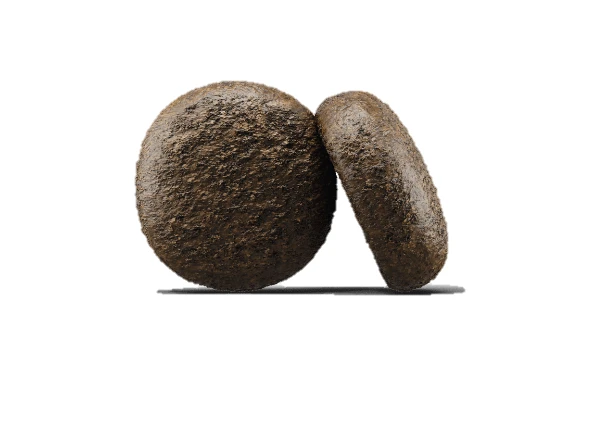 Josera Festival 15 Kg + Surprise Pour Votre Chien GRATUITES ! 3 Josera Festival 15 Kg + Surprise Pour Votre Chien GRATUITES ! – Image 3