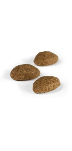 Josera Optiness 15kg + Surprise Pour Votre Chien GRATUITES ! 2 Josera Optiness 15kg + Surprise Pour Votre Chien GRATUITES ! – Image 2