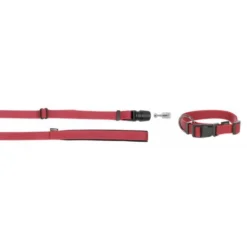 KERBL GoLeyGo 2.0 Ensemble Laisse + Collier Rouge Pour Chien 20mm X 40-65cm, M