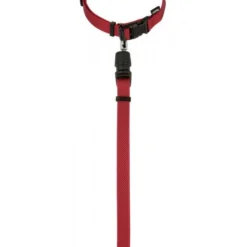 KERBL GoLeyGo 2.0 Ensemble Laisse + Collier Rouge Pour Chien 20mm X 40-65cm, M -Promos Paw Mignon Boutique fre pl KERBL GoLeyGo 2 0 Ensemble laisse collier Rouge pour Chien 20mm x 40 65cm M 12878 3