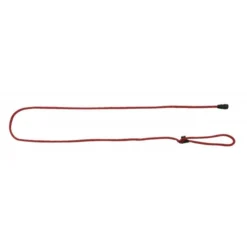 KERBL Laisse GoLeyGo 2.0 Avec Adaptateur Rouge Pour Chien 12mm X 140-200cm, M, Max 60kg