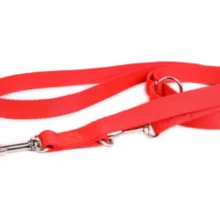 Laisse Réglable DogStuffs - Rouge 15mm/220cm