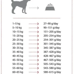 NATURES PROTECTION Extra Salmon 12kg 5 NATURES PROTECTION Extra Salmon 12kg -Promos Paw Mignon Boutique fre pl NATURES PROTECTION Extra Salmon 12kg 15779 5