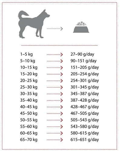 NATURES PROTECTION Extra Salmon 12kg 3 NATURES PROTECTION Extra Salmon 12kg – Image 3