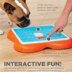 Nina Ottosson Dog Challenge Slider - Un Jeu Interactif Pour Les Chiens - Niveau 3. -Promos Paw Mignon Boutique fre pl Nina Ottosson Dog Challenge Slider un jeu interactif pour les chiens niveau 3 25986 4