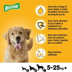 Pedigree Biscrok Biscuits Pour Chiens Adultes Sous Forme D'os Avec De L'agneau, Du Poulet Et Du Bœuf 500g X2 -Promos Paw Mignon Boutique fre pl Pedigree Biscrok Biscuits Pour chiens adultes sous forme dos avec de lagneau du poulet et du boeuf 500g x2 30143 2