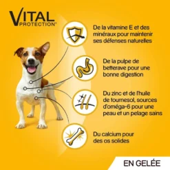 Pedigree Croquettes Humides En Gelée Pour Chiens Adultes Avec Boeuf, Poulet, Agneau, Volaille 12x100g -Promos Paw Mignon Boutique fre pl Pedigree Croquettes humides en gelee pour chiens adultes avec boeuf poulet agneau volaille 12x100g 9891 4