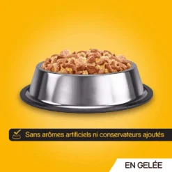 Pedigree Croquettes Humides En Gelée Pour Chiens Adultes Avec Boeuf, Poulet, Agneau, Volaille 12x100g -Promos Paw Mignon Boutique fre pl Pedigree Croquettes humides en gelee pour chiens adultes avec boeuf poulet agneau volaille 12x100g 9891 7