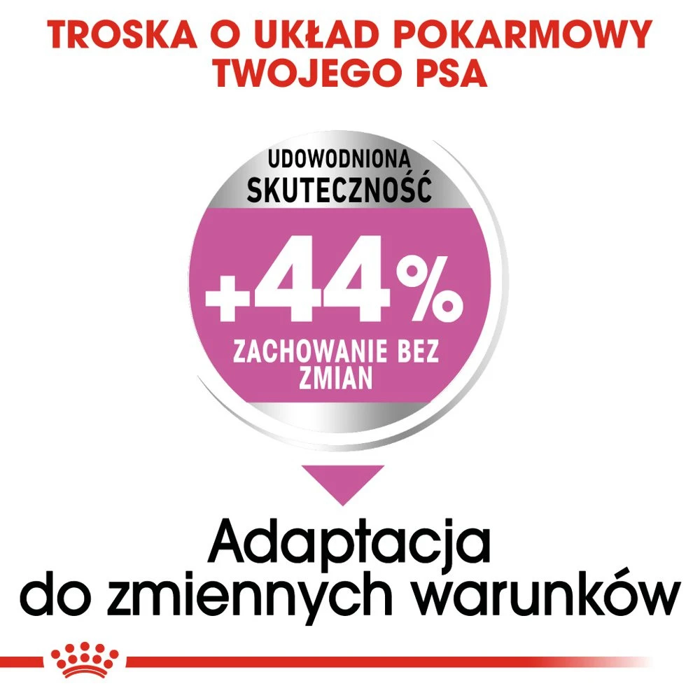 ROYAL CANIN CCN Medium Relax Care 10kg X2 3 ROYAL CANIN CCN Medium Relax Care 10kg X2 – Image 3