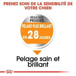 ROYAL CANIN CCN Mini Coat Care 3kg 8 ROYAL CANIN CCN Mini Coat Care 3kg -Promos Paw Mignon Boutique fre pl ROYAL CANIN CCN Mini Coat Care 3kg 16282 6