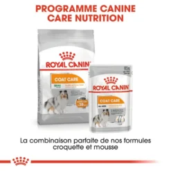 ROYAL CANIN CCN Mini Coat Care 3kg 11 ROYAL CANIN CCN Mini Coat Care 3kg -Promos Paw Mignon Boutique fre pl ROYAL CANIN CCN Mini Coat Care 3kg 16282 9