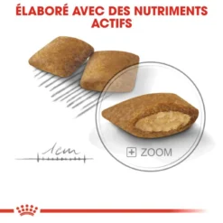 ROYAL CANIN CCN Mini Exigent 3kg -Promos Paw Mignon Boutique fre pl ROYAL CANIN CCN Mini Exigent 3kg 10053 5