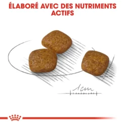 ROYAL CANIN CCN Mini Urinary Care 1kg -Promos Paw Mignon Boutique fre pl ROYAL CANIN CCN Mini Urinary Care 1kg 16294 5