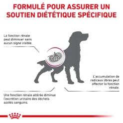 ROYAL CANIN Early Renal 2kg -Promos Paw Mignon Boutique fre pl ROYAL CANIN Early Renal 2kg 12975 7