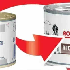 ROYAL CANIN Recovery 195g X 12