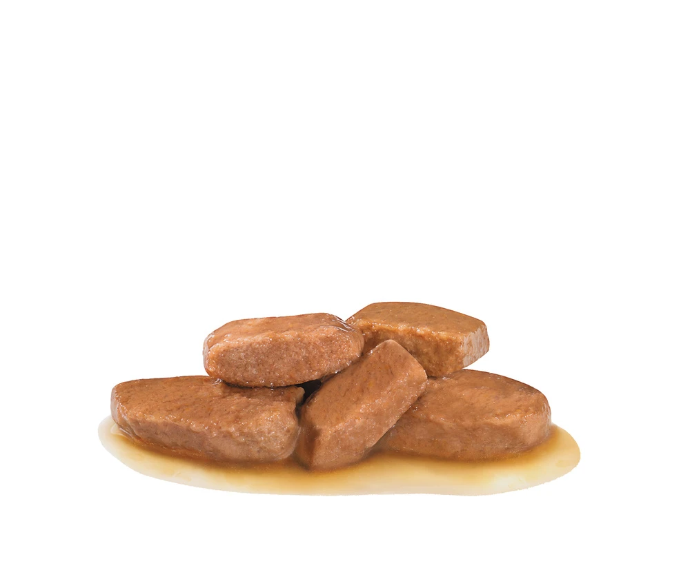 ROYAL CANIN Renal 12x100g 3 ROYAL CANIN Renal 12x100g – Image 3