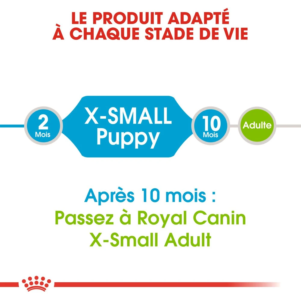 ROYAL CANIN X-Small Puppy 1,5kg 4 ROYAL CANIN X-Small Puppy 1,5kg – Image 4