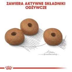 Royal Canin Mini Light Weight Care 8kg + Surprise Pour Votre Chien GRATUITES ! 11 Royal Canin Mini Light Weight Care 8kg + Surprise Pour Votre Chien GRATUITES ! -Promos Paw Mignon Boutique fre pl Royal Canin Mini Light Weight Care 8kg surprise pour votre chien GRATUITES 17870 6