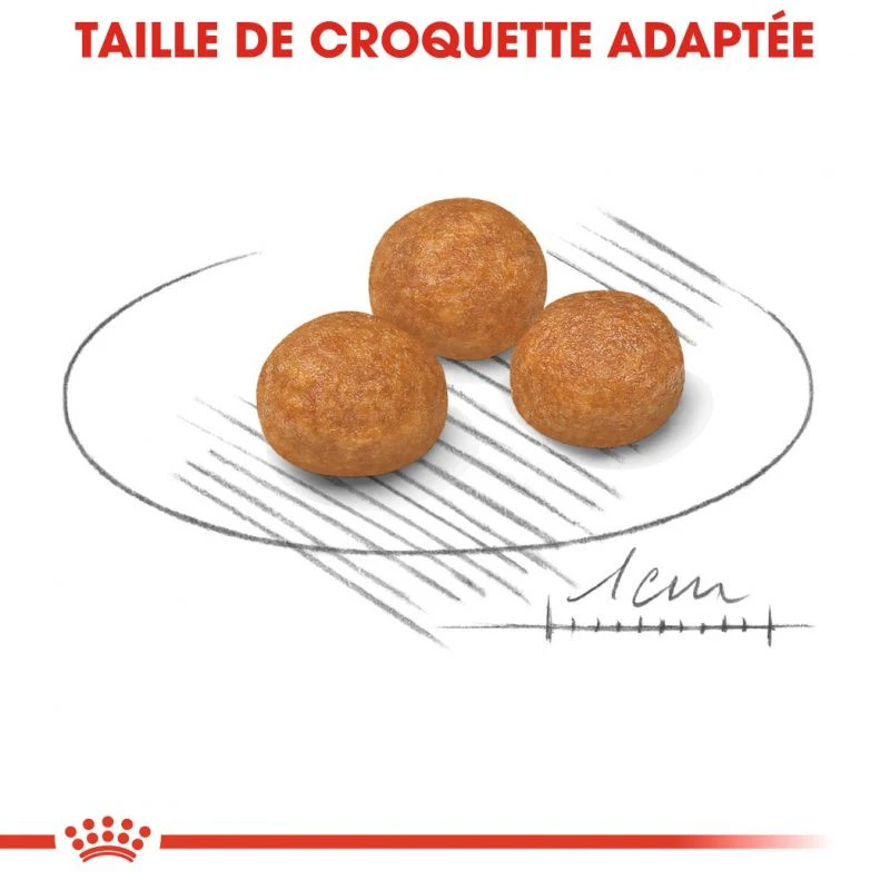 Royal Canin X-Sm Small Adulte 1,5kg 3 Royal Canin X-Sm Small Adulte 1,5kg – Image 3