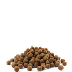 Versele-Laga Opti Life Puppy Sensitive Saumon Au Riz 2.5kg 6 Versele-Laga Opti Life Puppy Sensitive Saumon Au Riz 2.5kg -Promos Paw Mignon Boutique fre pl Versele Laga Opti Life Puppy Sensitive Saumon au riz 2 5kg 8724 3