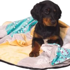 ZOLUX Jouet CHIQUITOS Paresseux Avec Ficelle -Promos Paw Mignon Boutique fre pl ZOLUX Jouet CHIQUITOS paresseux avec ficelle 28850 3