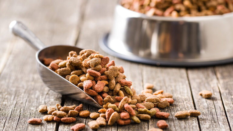 Promos Paw Mignon Boutique -Promos Paw Mignon Boutique croquette chien 768x432 1